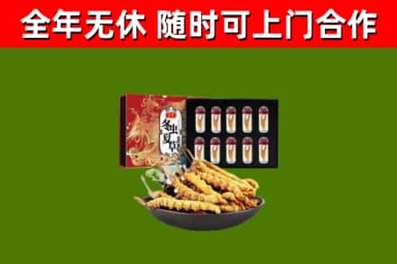 博爱县烟酒回收冬虫夏草礼盒.jpg
